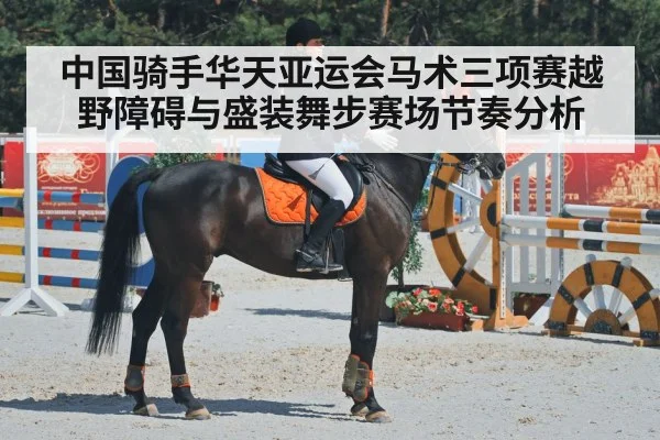 中国骑手华天亚运会马术三项赛越野障碍与盛装舞步赛场节奏分析